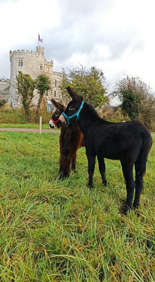 Les Anes Du Chateau D Hardelot, Pour 2 A 5 Pers Condette Exterior foto